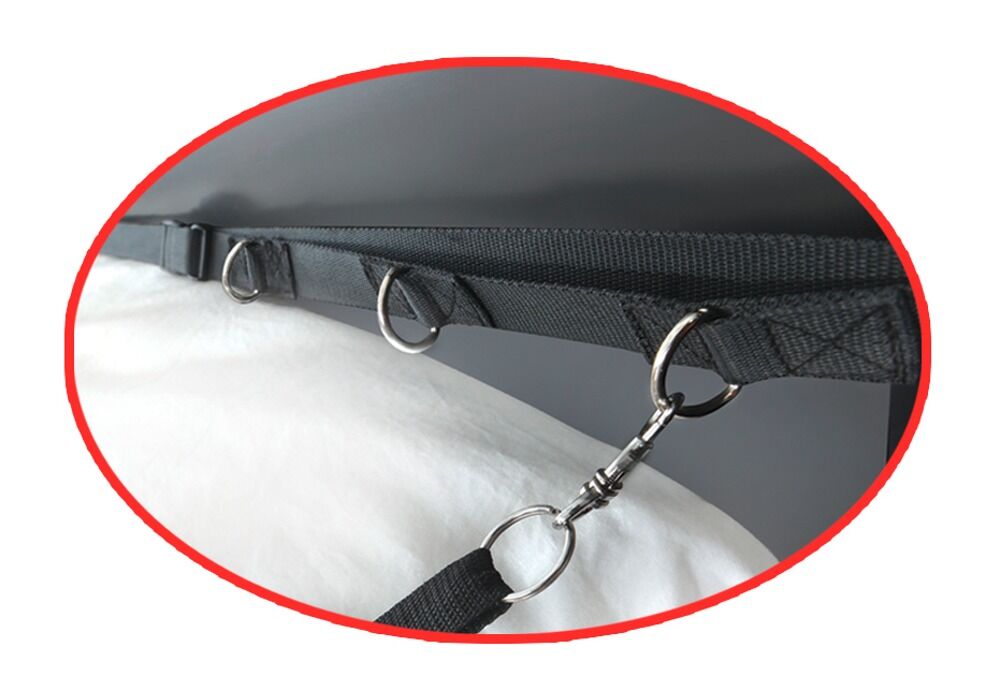 Ultimate Bed Restraint System