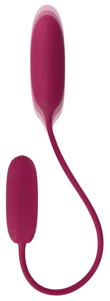 RC Shaking & Vibrating Love Egg Duo