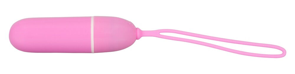 RC Panty Vibrator