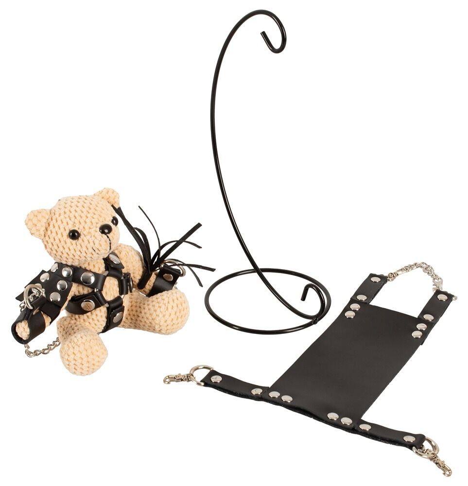 SM Teddy with Swing