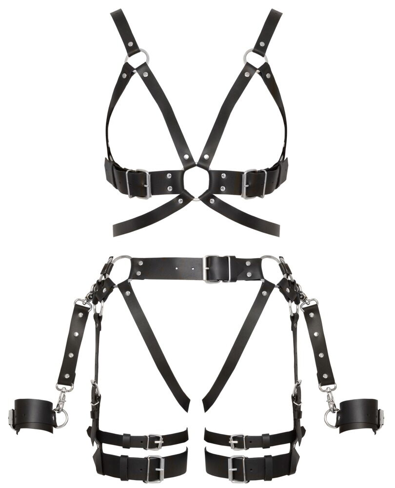 Harness-Set aus Leder