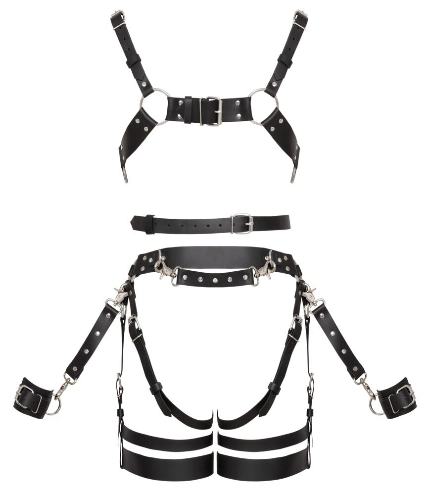 Harness-Set aus Leder