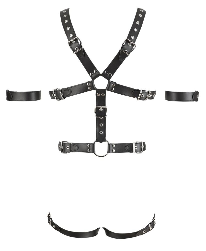 Harness aus Leder mit 3 Penis-/Hodenringen