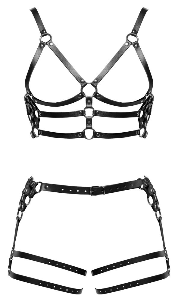 Leather Harness Set