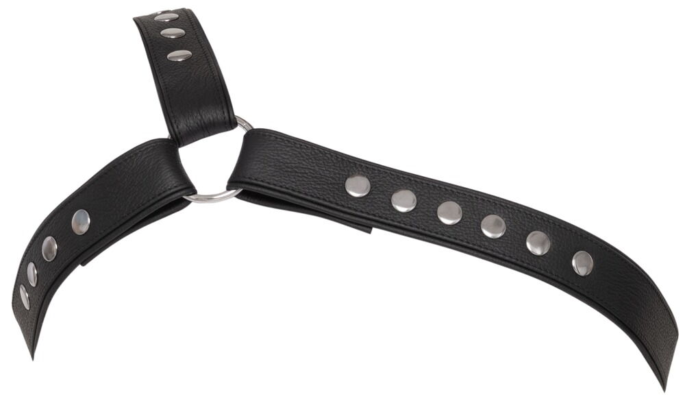 Leder-Brustharness, einseitig