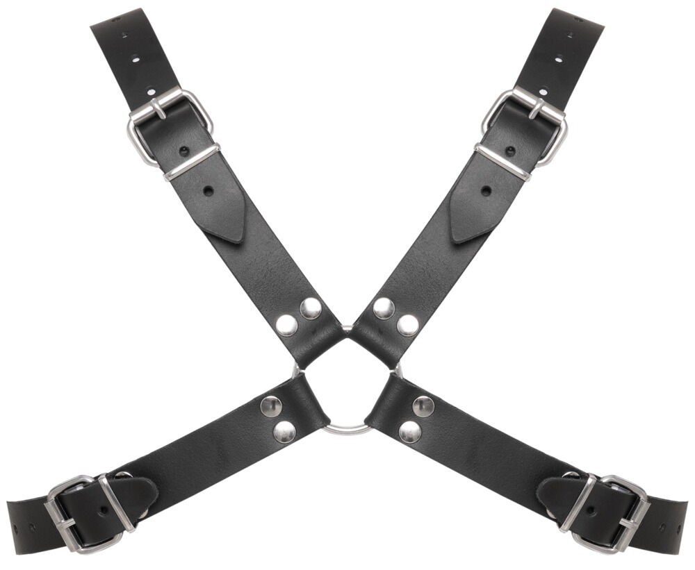 Leder-Brustharness mit markanten Kuppel-Ziernieten