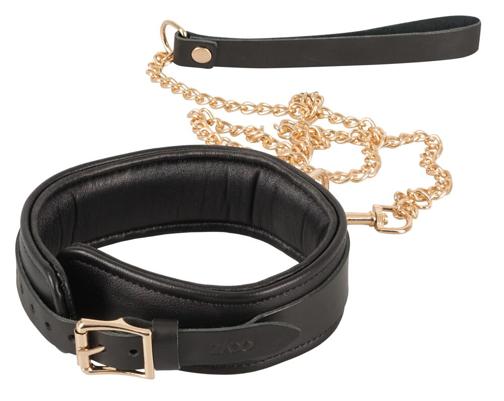 Leather Collar and Leash