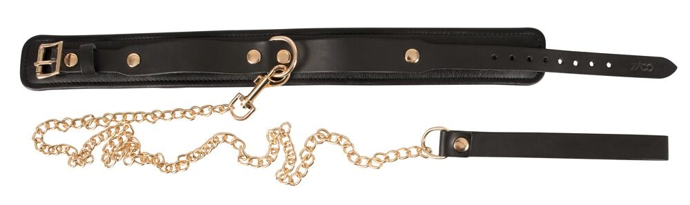 Leather Collar and Leash