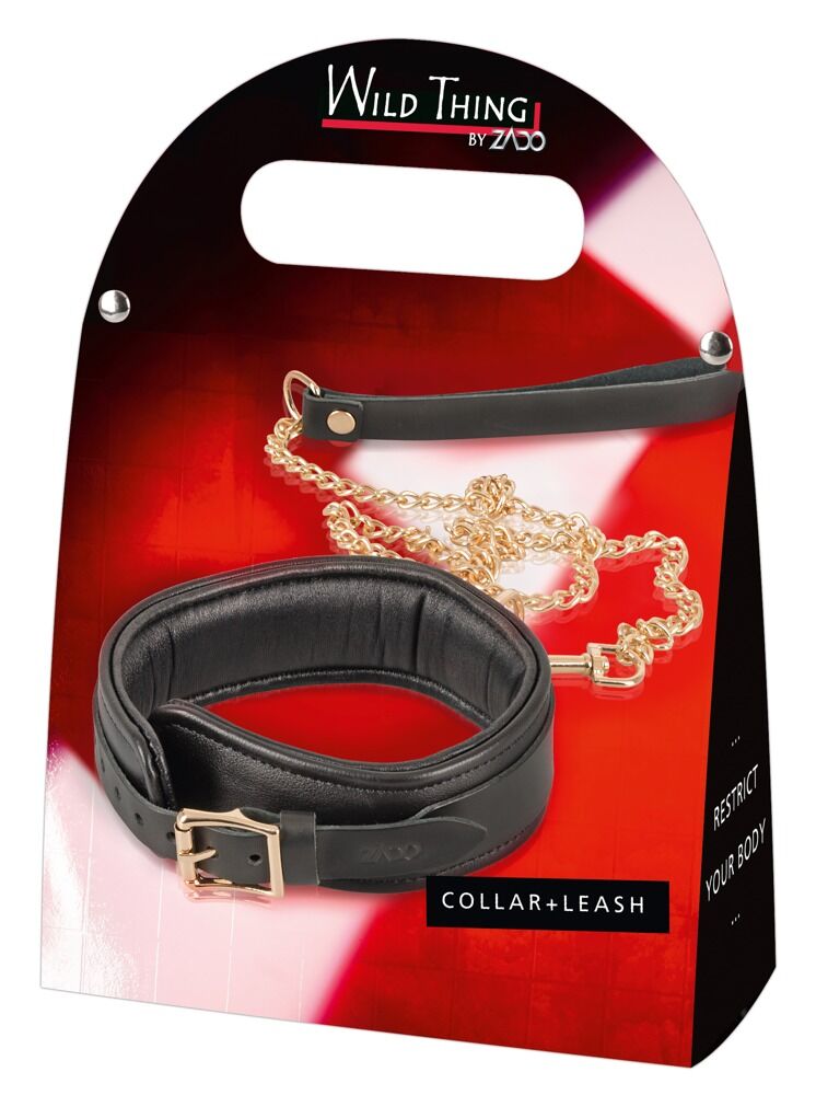 Leather Collar and Leash