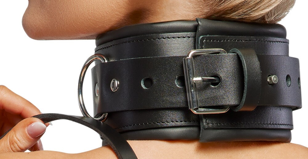 Leather Collar/Leash