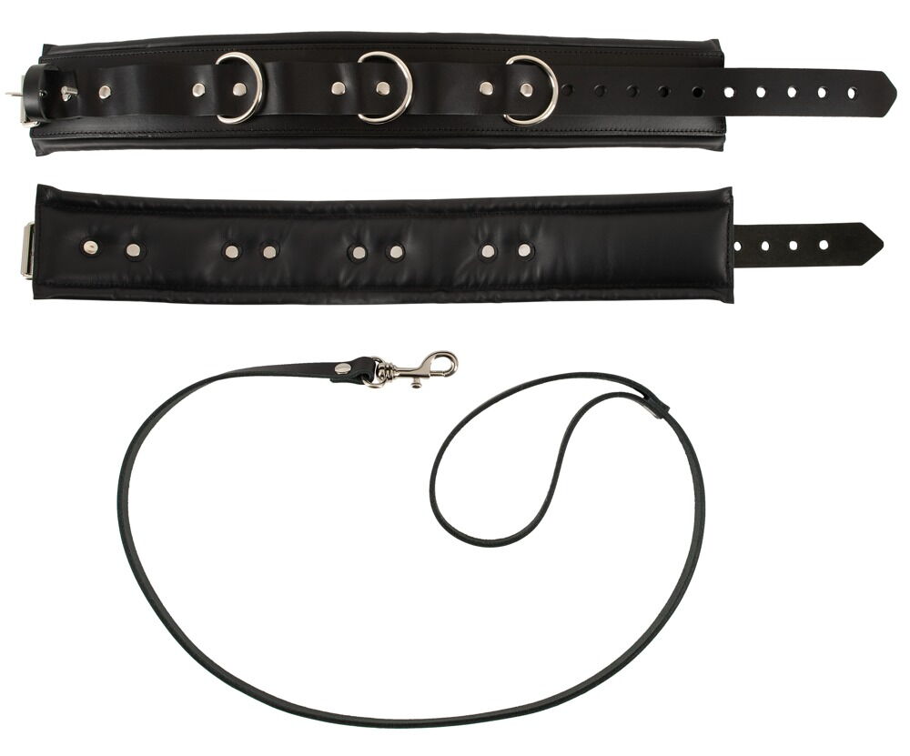 Leather Collar/Leash