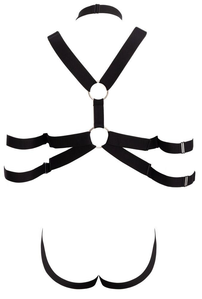 Harness
