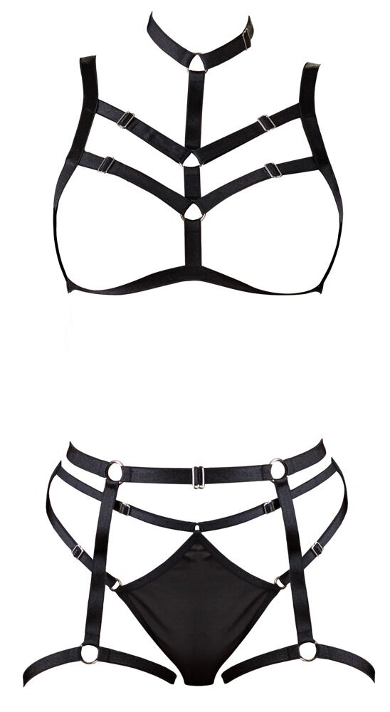 3-teiliges Harness-Set mit verstellbaren Hakenverschlüssen