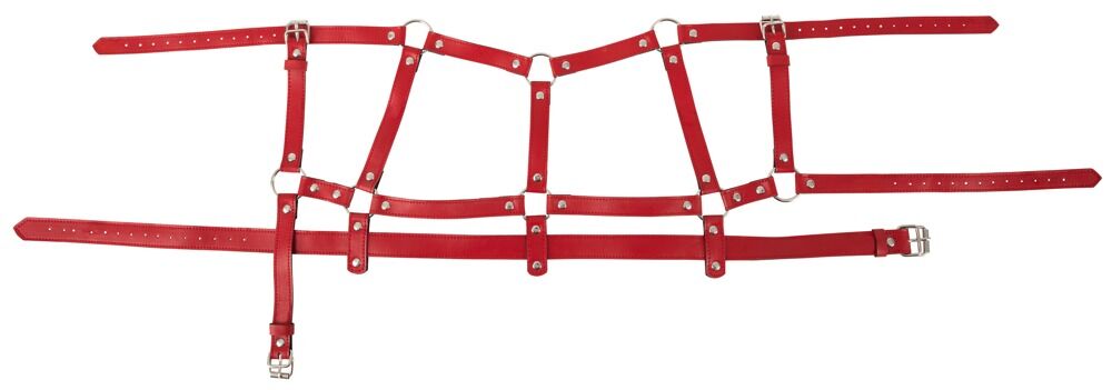 4-teiliges Harness-Set in Leder-Optik