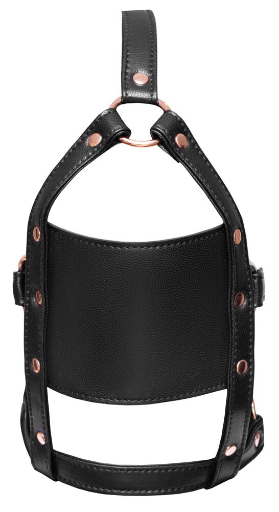 head harness with a gag