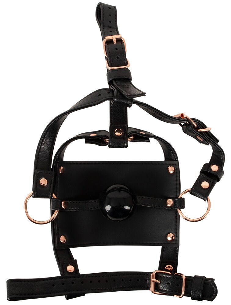 head harness with a gag