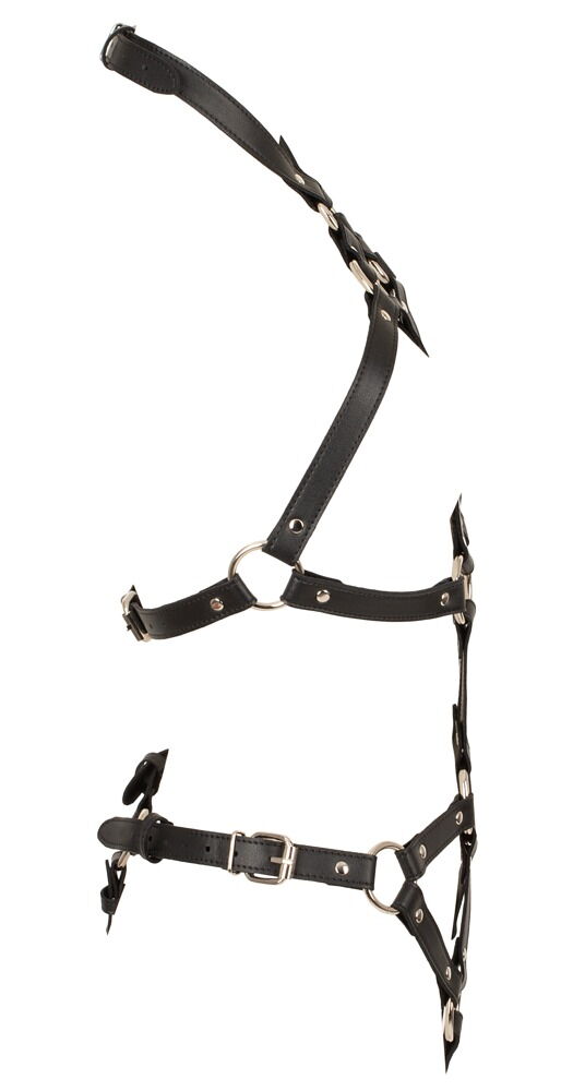 Harness