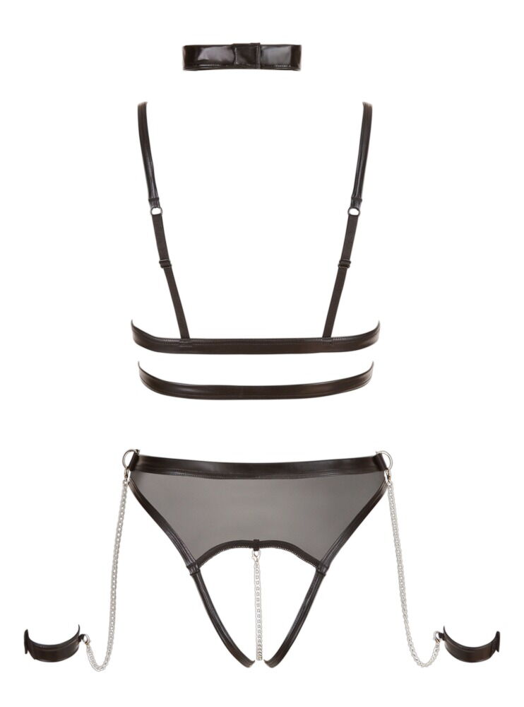 Body ouvert, Wetlook und Powernet in Harness-Optik inkl. Halsband