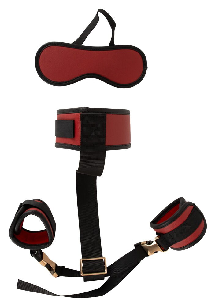 Neck to Wrist Bondage Set