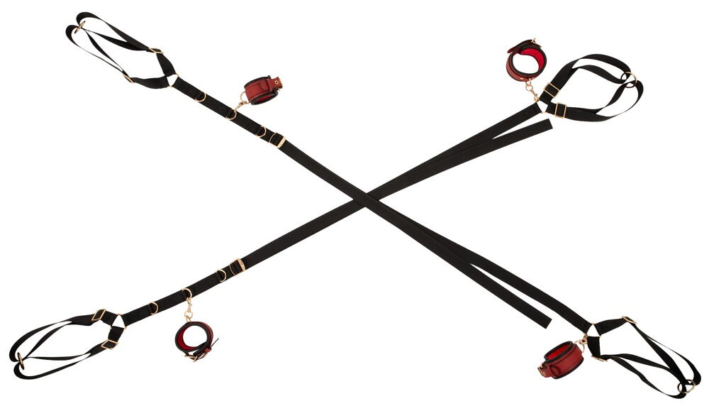 Bed/Door Restraint Set