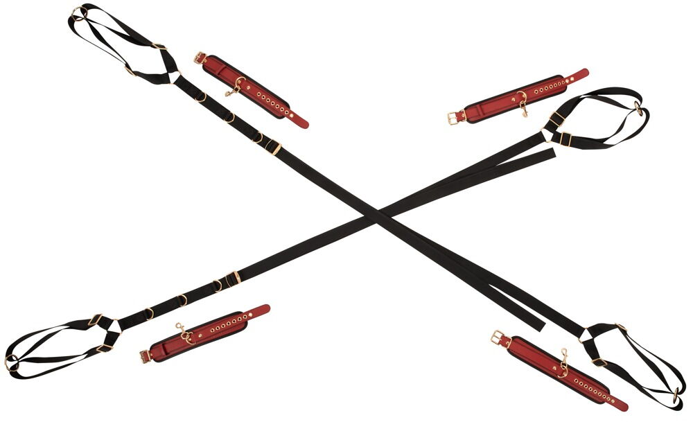 Bed/Door Restraint Set