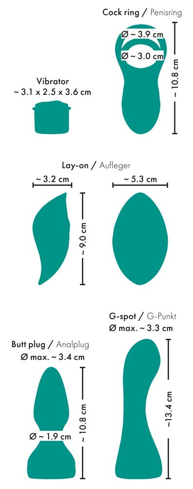 5-teiliges Paartoy-Set mit Fernbedienung