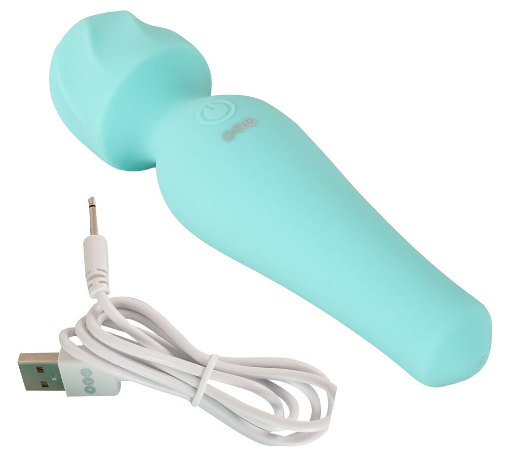 Small Wand Massager