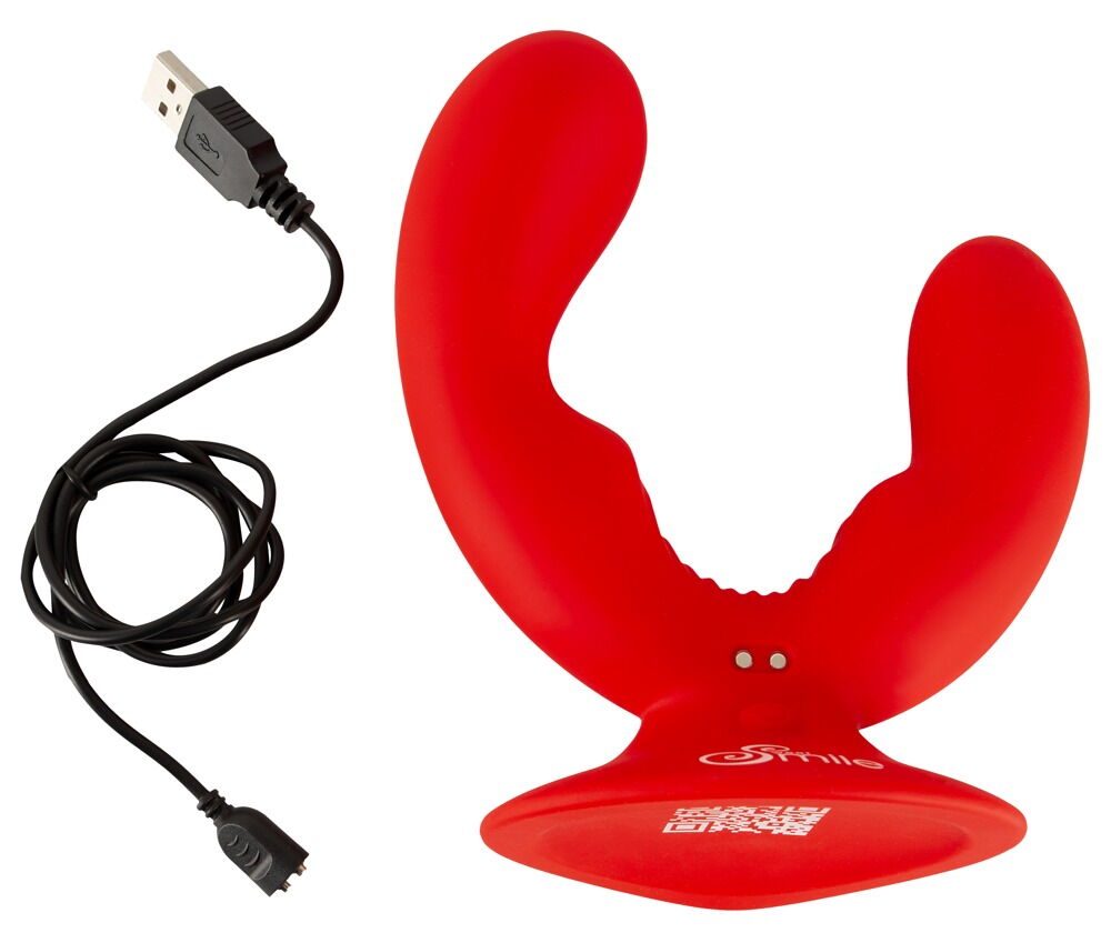 Doppelvibrator mit Saugfuß