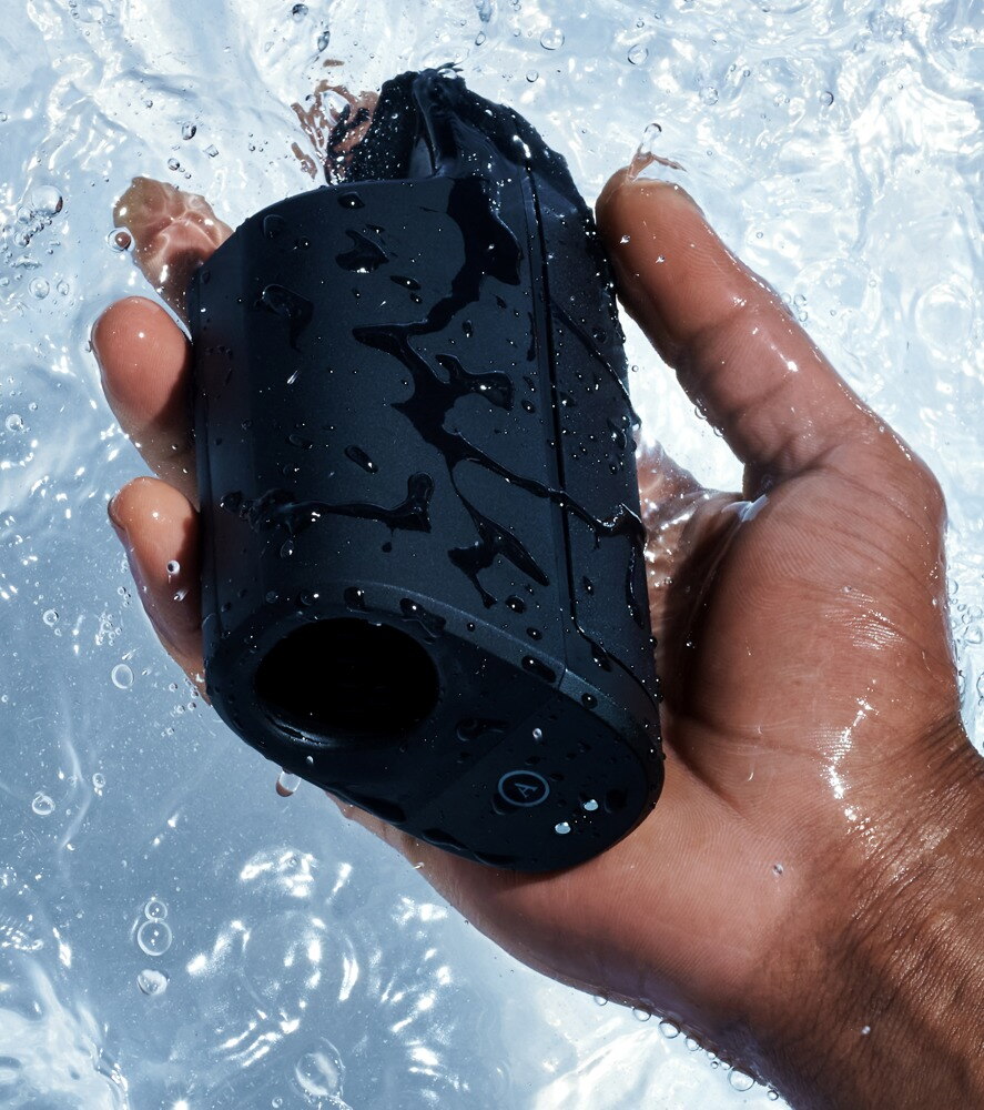 Ion 2