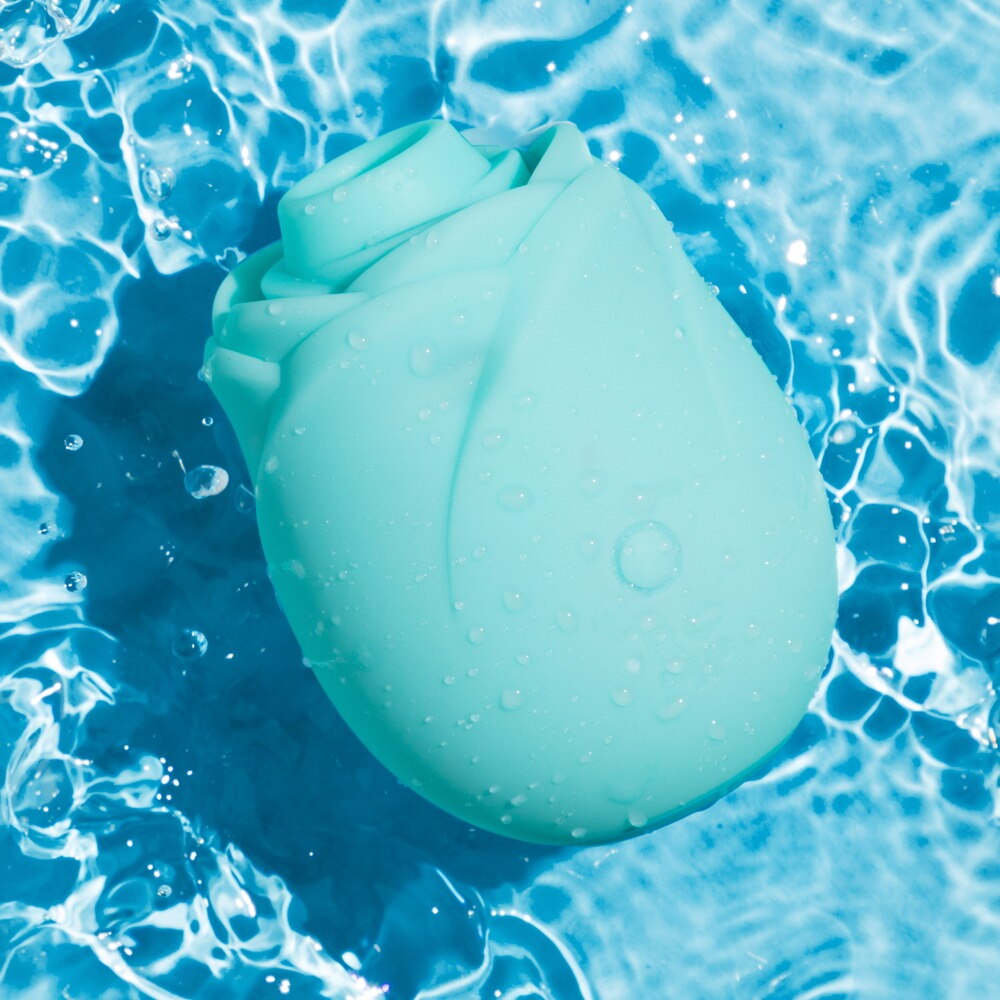 Pulsator ROMP by Womanizer „Rose Glow“