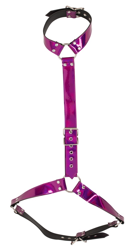 Harness im Metallicglanz